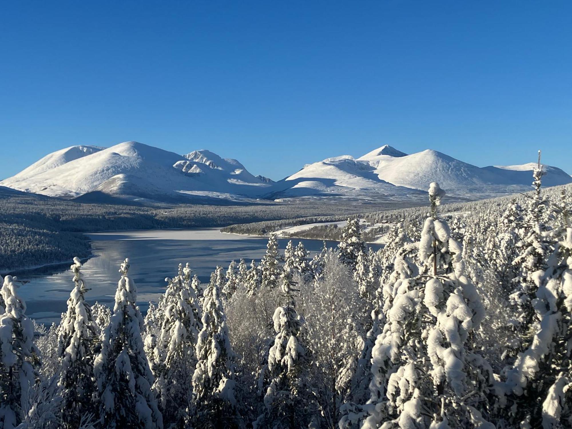 Rondane Sollia Friluftsliv Ovre Nordli Villa Екстериор снимка